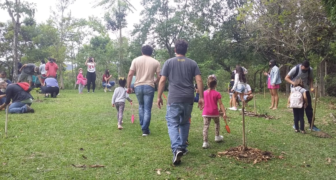 Projeto Bosque Do Centro De Filosofia E Ci Ncias Humanas